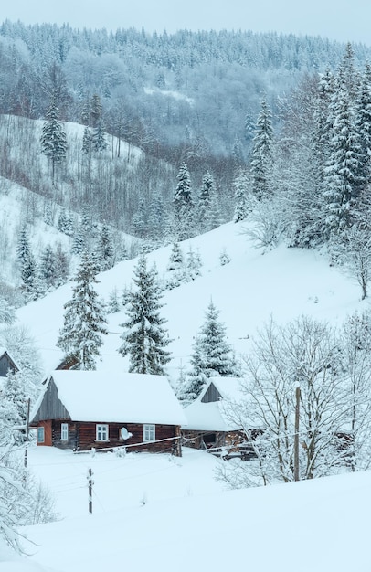 Winter Ukrainian Carpathian Mountains landscape