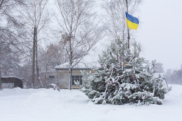 Winter in the Ukrainian village. Green tree crushed by snow