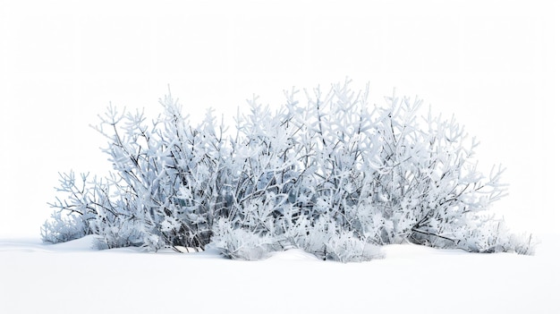 Photo winter wonderland snowcovered frozen tree branches and bushes