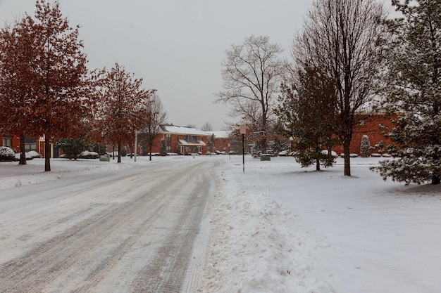 Winter wood road covered with snow apartment