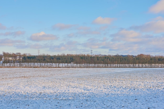 Wintertime countryside in Denmark Winter landscape on a sunny day with blue sky