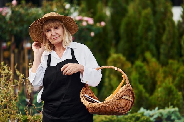 With basket in hands Senior woman is in the garden at daytime Conception of plants and seasons