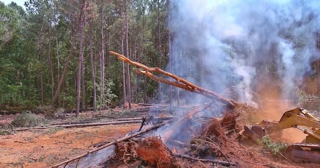 With ecological disaster a tractor filled sand is to fire in the forest fires