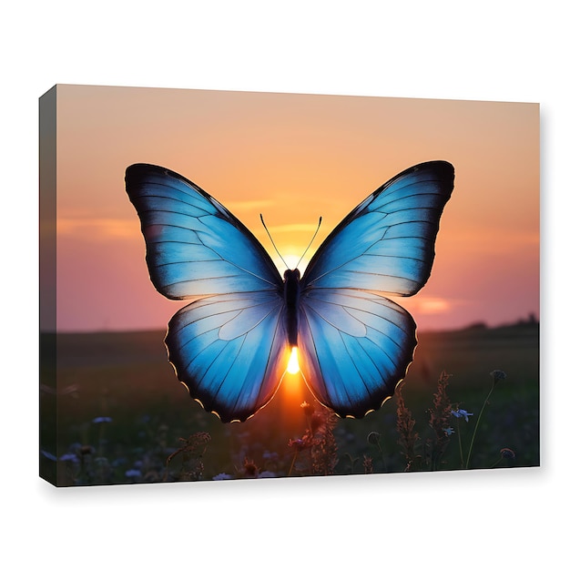 With the sun setting behind it a blue butterfly