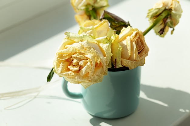 Withered roses - wilted rose flowers