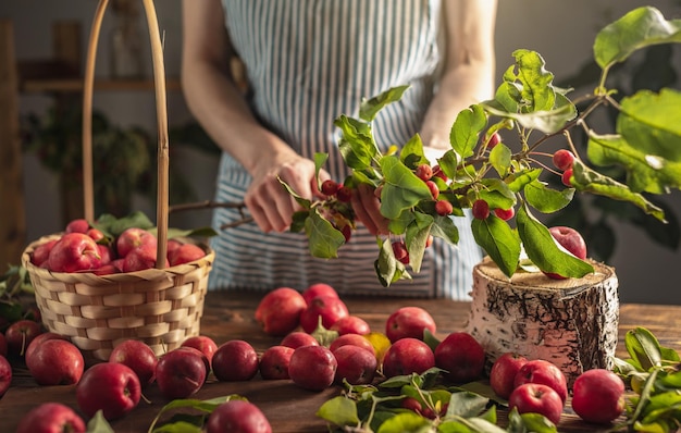 Woman in an apron in the kitchen in front of a table with beautiful red apples from her garden Concept of an autumn cozy atmosphere harvesting a fresh home harvest