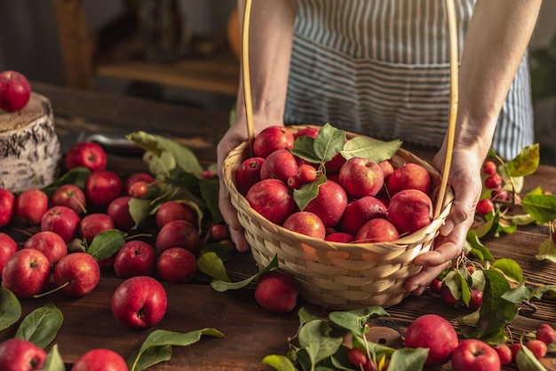 Woman in an apron in the kitchen is holding a basket with a fresh crop of red apples in her hands Concept of an autumn cozy atmosphere cooking dishes from organic healthy homemade apples