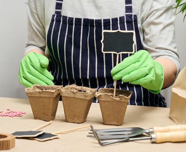 A woman arranges wooden markers in paper cups with soil to sign the names of the planted seeds Growing at home