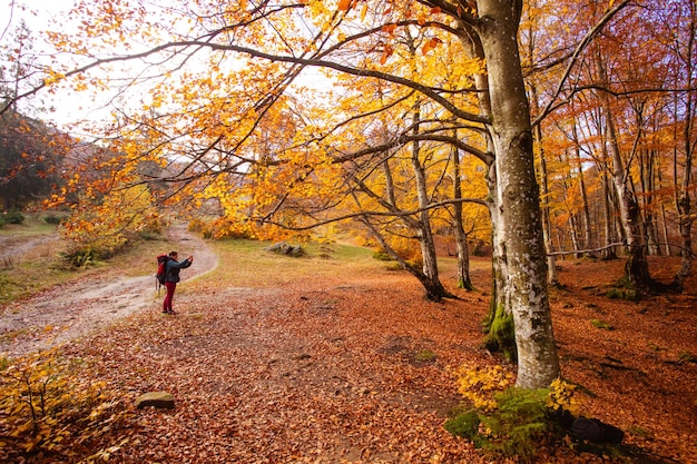 The woman in the autumn forest is using the smartphone for navigation