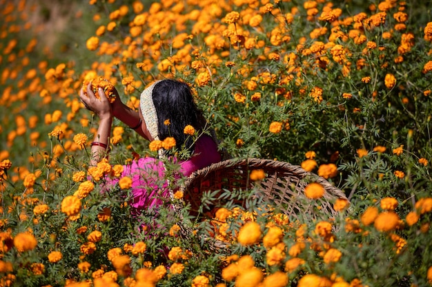 A woman in a basket is sitting in a field of flowers.