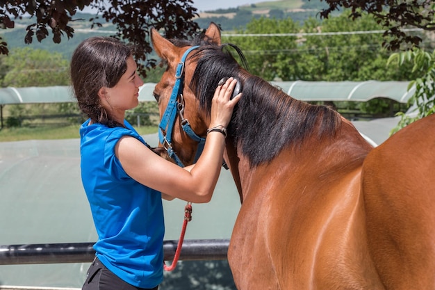 Woman brushing mane of horse