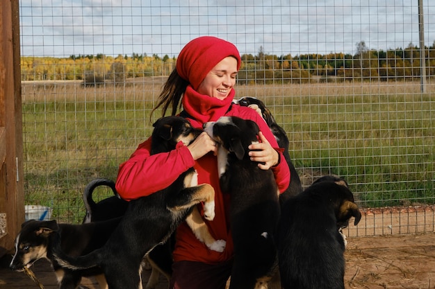 Woman came to animal shelter to choose puppy friend Black and white Alaskan husky puppies