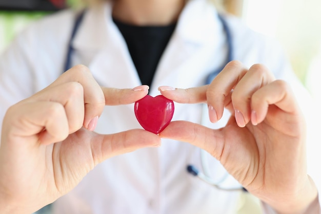 Woman cardiologist holds small red heart in her hands close up doctor shows heart symbol