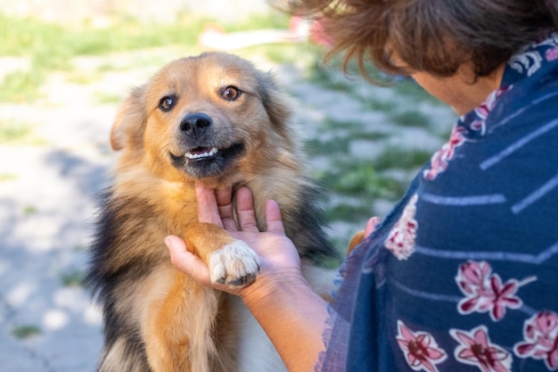 A woman caresses her cute dog A woman and a dog are happy together