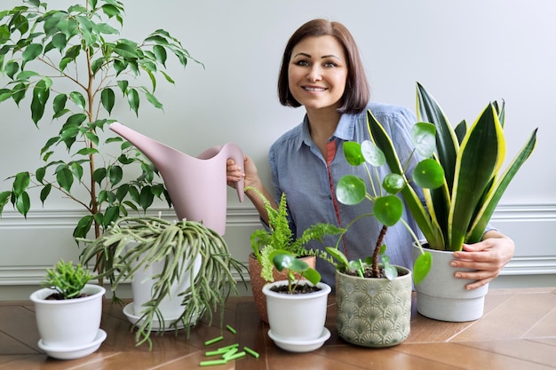 Woman caring for houseplants in pots watering plants from watering can