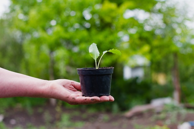 A woman of Caucasian ethnicity holds on her outstretched hand a black pot with earth