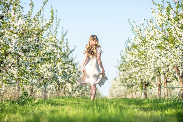 Woman in cherry blooming orchard in spring