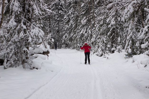 Woman cross country skier in forest on a sunny day.