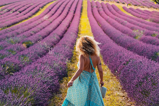 Woman in curly hair wearing blue dress and holding hat while walking in violet lavender field. Rear view of stylish woman in backless dress amidst beautiful lavender field