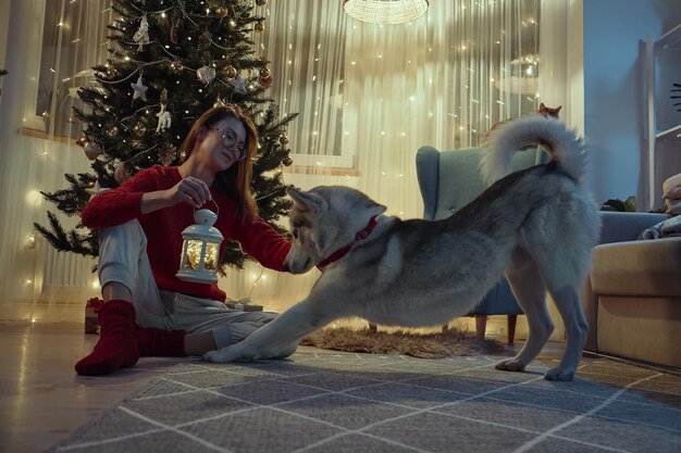 A woman decorates a Christmas lantern sitting on the floor next to a Christmas tree a cat and a dog are sleeping nearby