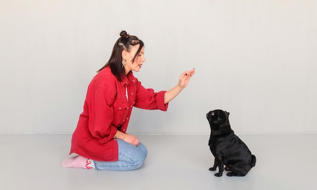 A woman dog handler trains teach her pet a small black pug The dog fulfills the commands