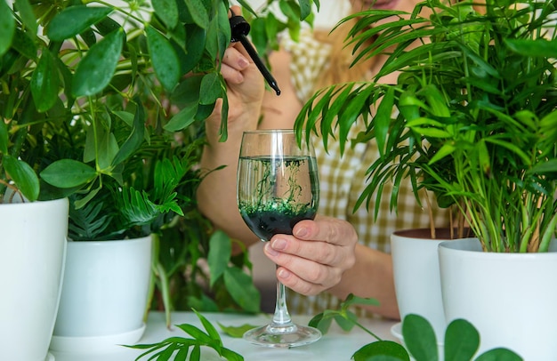 A woman drinks liquid chlorophyll Selective focus