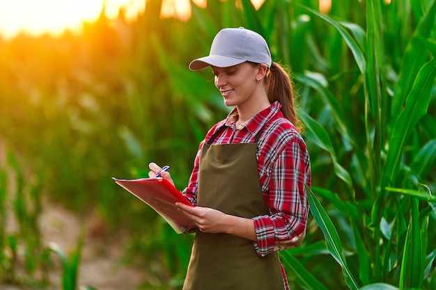 Woman farmer agronomist working in corn field and planning income of harvest. Female examining and checking quality control of produce maize crop. Agriculture management and agribusiness