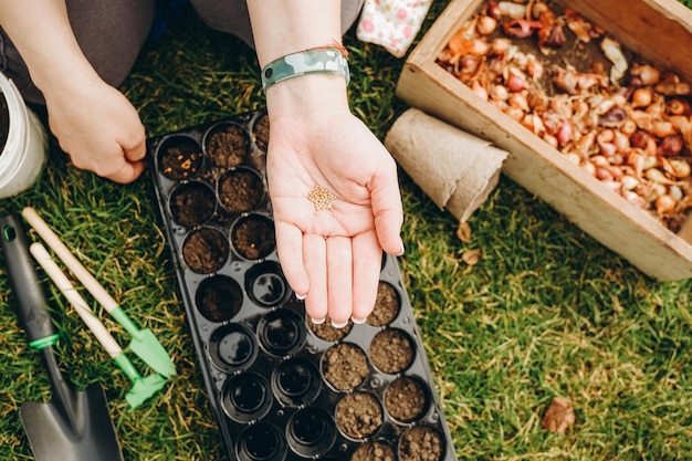 A woman farmer chooses seeds before planting in the ground Growing vegetable seedlings in spring