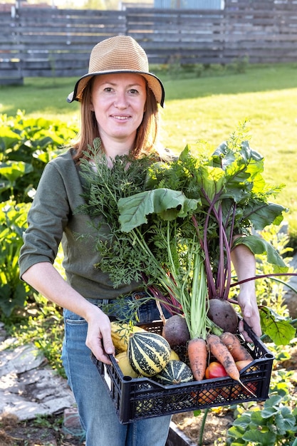 Woman farmer holding basket with fresh vegetables beetroot and carrot in hands on at sunset Concept of farming growing natural nutrition by its own Real working process at the garden