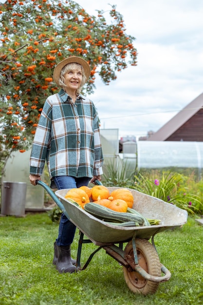 Woman farmer picking autumn crop of pumpkins on farm