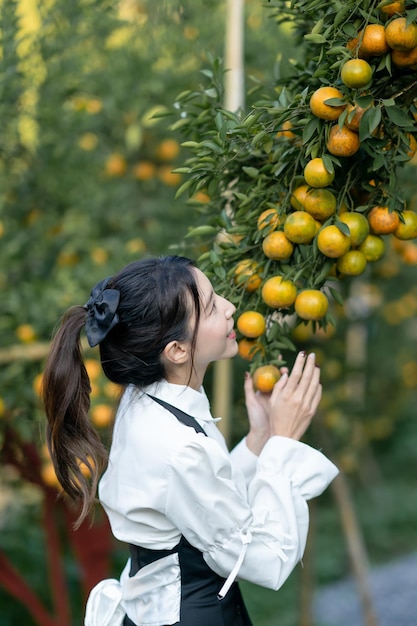 Woman farmer picking carefully ripe orange in orchard