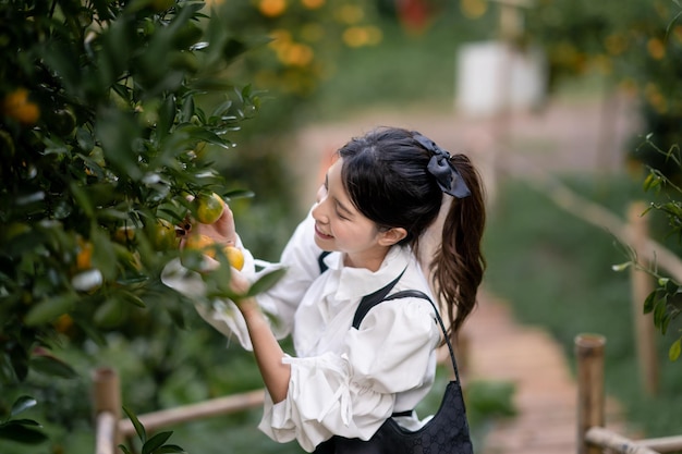 Woman farmer picking carefully ripe orange in orchard