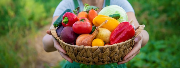 Woman farmer in the vegetable garden with a harvest of vegetables. Selective focus. Food.