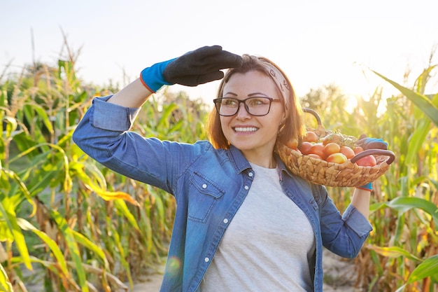 Woman farmer with basket of ripe red natural tomatoes in his vegetable garden on sunny day. Hobbies and leisure, harvest, gardening, agriculture, healthy organic food concept