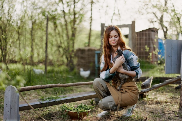 Photo a woman farmer in work clothes is holding a young chicken and inspecting a feeder with organic organic chicken food on the farm on a sunset summer day