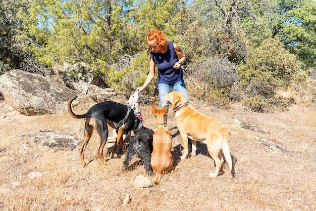 Woman feeding dogs while walking in the mountain