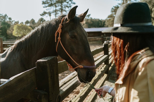 Woman feeding a horse