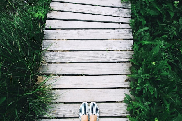 Woman feet in casual shoes on the wooden pier background with green grass. Nature background