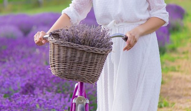 Woman in a field of lavender flowers in a white dress selective focus