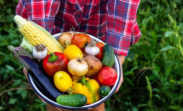 Woman in the garden with vegetables in her hands selective focus