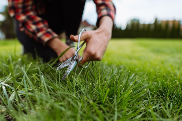 Photo woman gardener cutting the grass with scissors garden care concept high quality photo