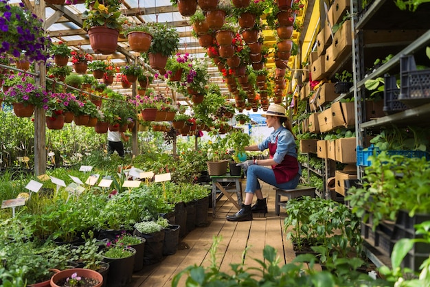 Woman gardener in hat and gloves works with flowers in the greenhouse