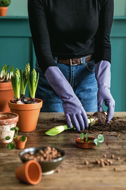 Photo woman gardener is transplanting beautiful plants, cacti, succulents to ceramic pots and taking care of home flowers on the retro wooden table for her concept of home garden.