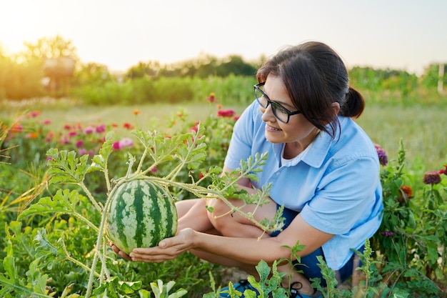 Woman gardener with watermelon berry in her hands on watermelon garden