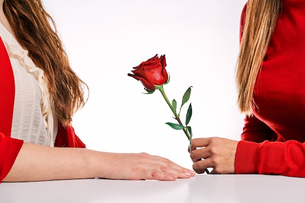 Woman giving a red rose to her partner. Concept of love between women, diversity, lgtbq and pride.