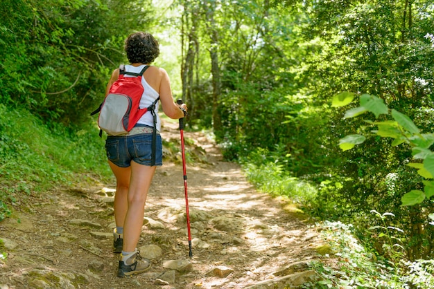 Woman go hiking in the mountains