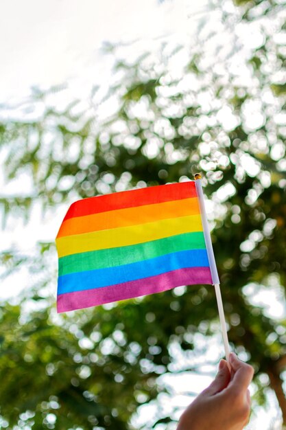 Woman hand hold small The Rainbow Pride Flag