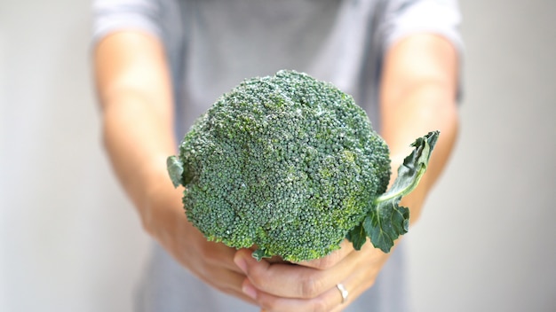 Woman hand holding broccoli