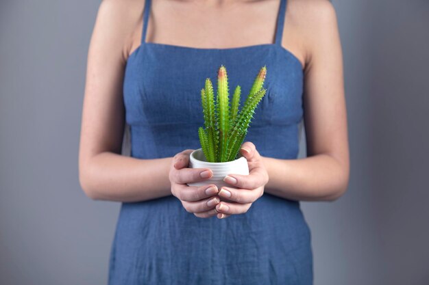 Woman hand holding cactuse