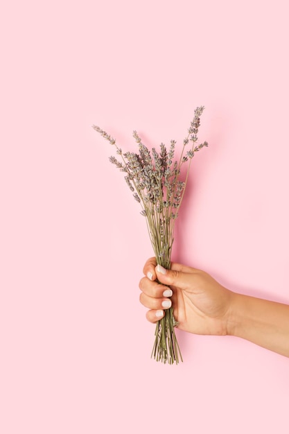 Woman hand holding a lavender bouquet on a pink background with copy space